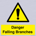 danger-falling-branches~